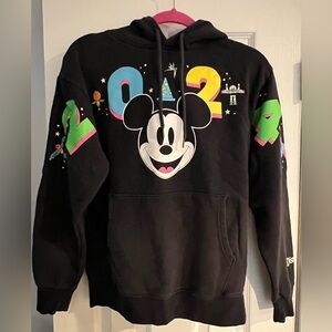Disney World 2024 Mickey Mouse Hoodie Character Icons Figment 4 Parks Neon XS